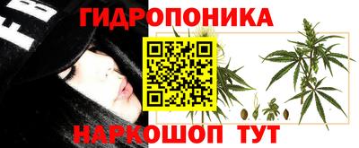 прущая мука Кандалакша